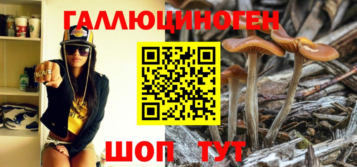Галлюциногенные грибы Magic Shrooms  Псилоцибиновые грибы прущие грибы  Вход с VPN  Нововоронеж 