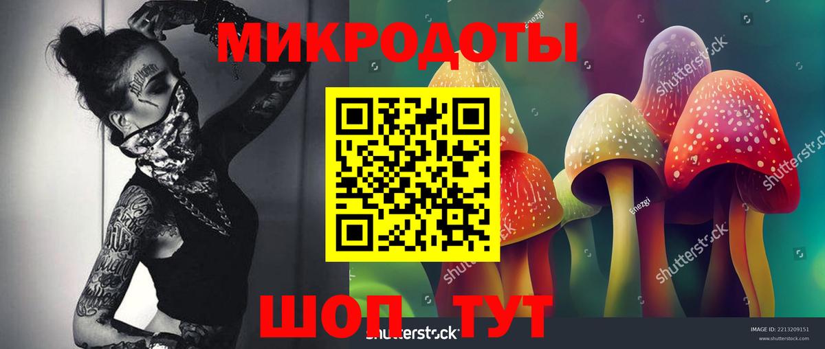 Галлюциногенные грибы мицелий Нововоронеж
